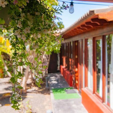 El Rincon Del Huroncillo Tejina Екстер'єр фото